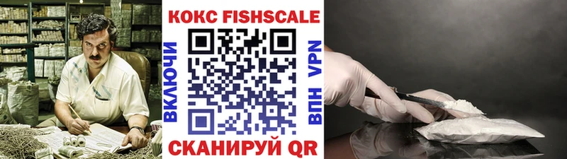 Купить где  Гаврилов-Ям  Cocaine FishScale 