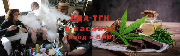 индика Карпинск
