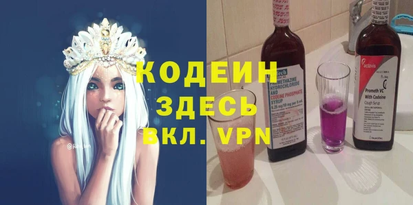 индика Карпинск