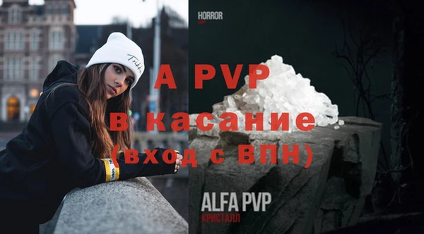 индика Карпинск
