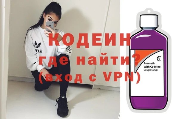 индика Карпинск