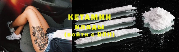 индика Карпинск