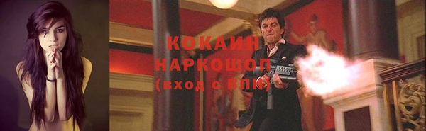 тгк Касимов
