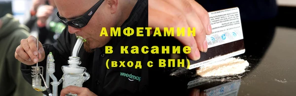 индика Карпинск