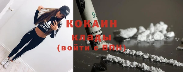 тгк Касимов