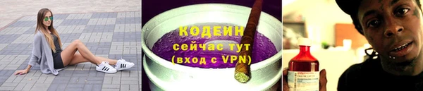 индика Карпинск