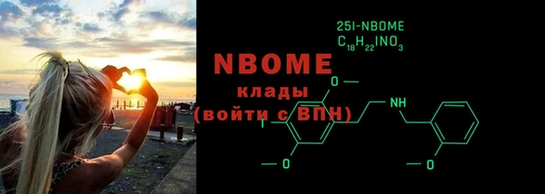 индика Карпинск