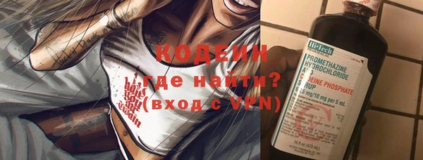 индика Карпинск