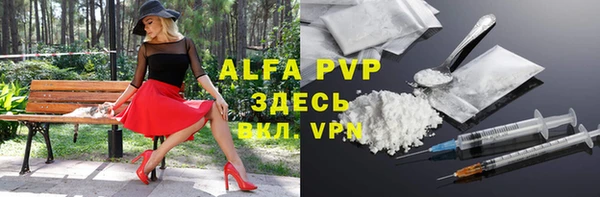 индика Карпинск