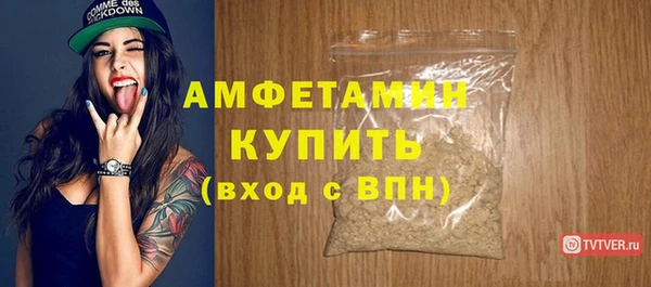 индика Карпинск