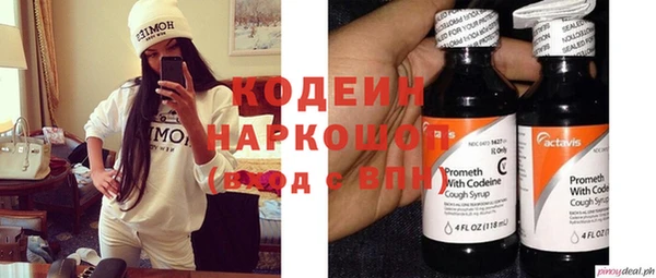 индика Карпинск